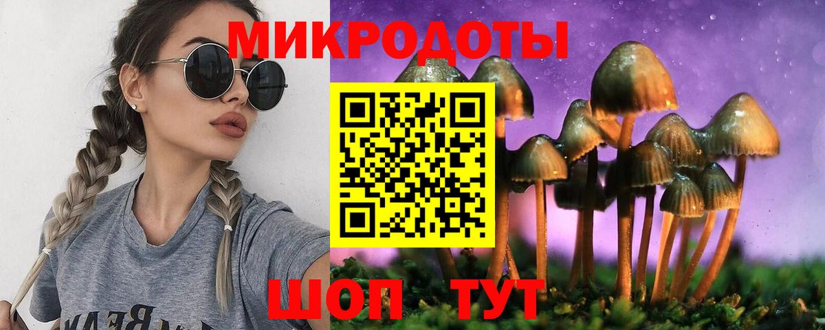 Псилоцибиновые грибы Psilocybine cubensis Югорск